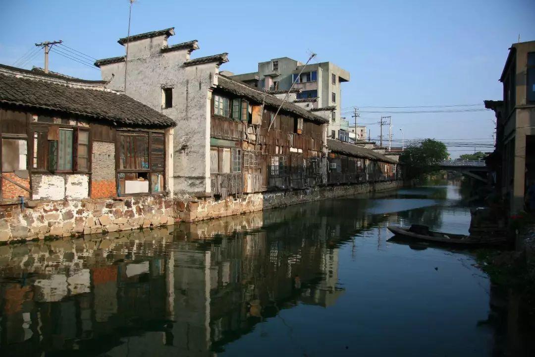 照顾小兔宝宝
